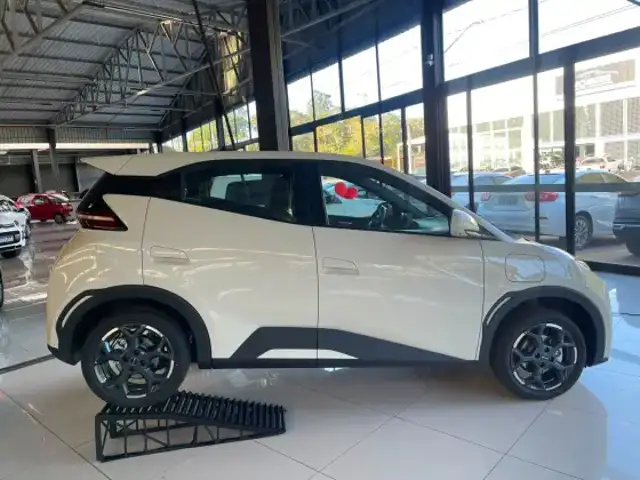 BYD DOLPHIN MINI 38 KW ELÉTRICO GS em Matão, SP