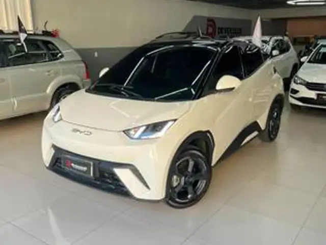 BYD DOLPHIN 44,9 KW ELÉTRICO GS em Patos, PB