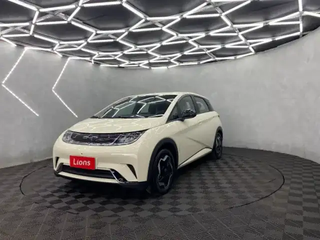 BYD DOLPHIN 44,9 KW ELÉTRICO GS em Niterói, RJ