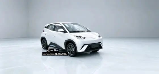 BYD DOLPHIN MINI 38 KW ELÉTRICO GS em São Bernardo do Campo, SP