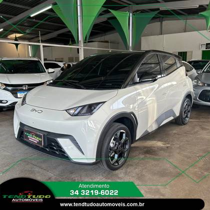 BYD DOLPHIN MINI 38 KW ELÉTRICO GS em Uberlândia, MG
