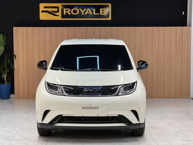 BYD DOLPHIN 44,9 KW ELÉTRICO GS em Niterói, RJ