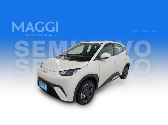 BYD DOLPHIN MINI 38 KW ELÉTRICO GS em Registro, SP