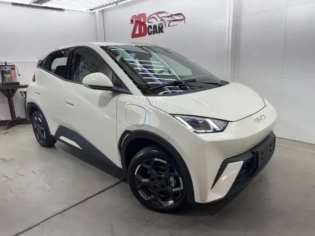 BYD DOLPHIN MINI 38 KW ELÉTRICO GL em Contagem, MG