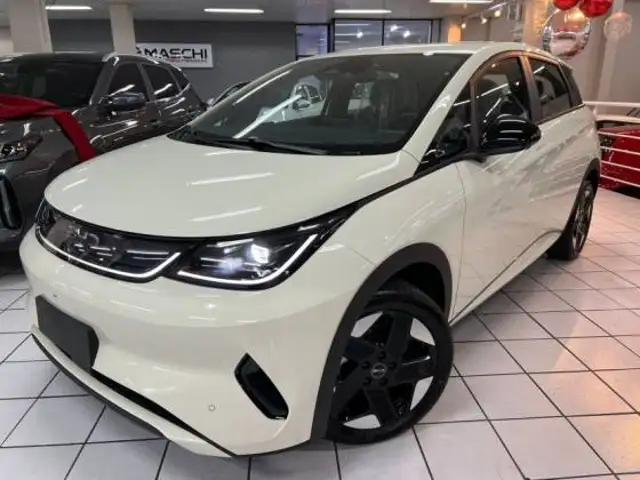 BYD DOLPHIN 45,1 KW ELÉTRICO SE em Caxias do Sul, RS