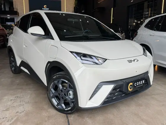 BYD DOLPHIN MINI 38 KW ELÉTRICO GS em Passo Fundo, RS