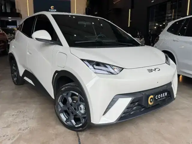 BYD DOLPHIN MINI 38 KW ELÉTRICO GS em Passo Fundo, RS