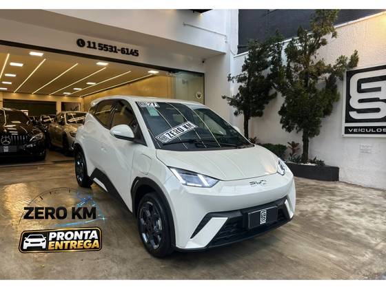 BYD DOLPHIN MINI 38 KW ELÉTRICO GL em São Paulo, SP