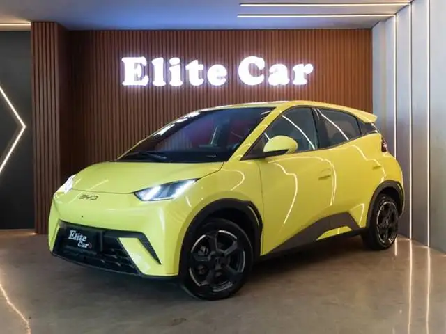 BYD DOLPHIN MINI 38 KW ELÉTRICO em Estância Velha, RS