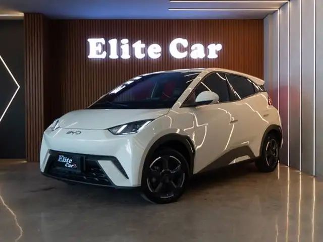 BYD DOLPHIN MINI 38 KW ELÉTRICO em Estância Velha, RS