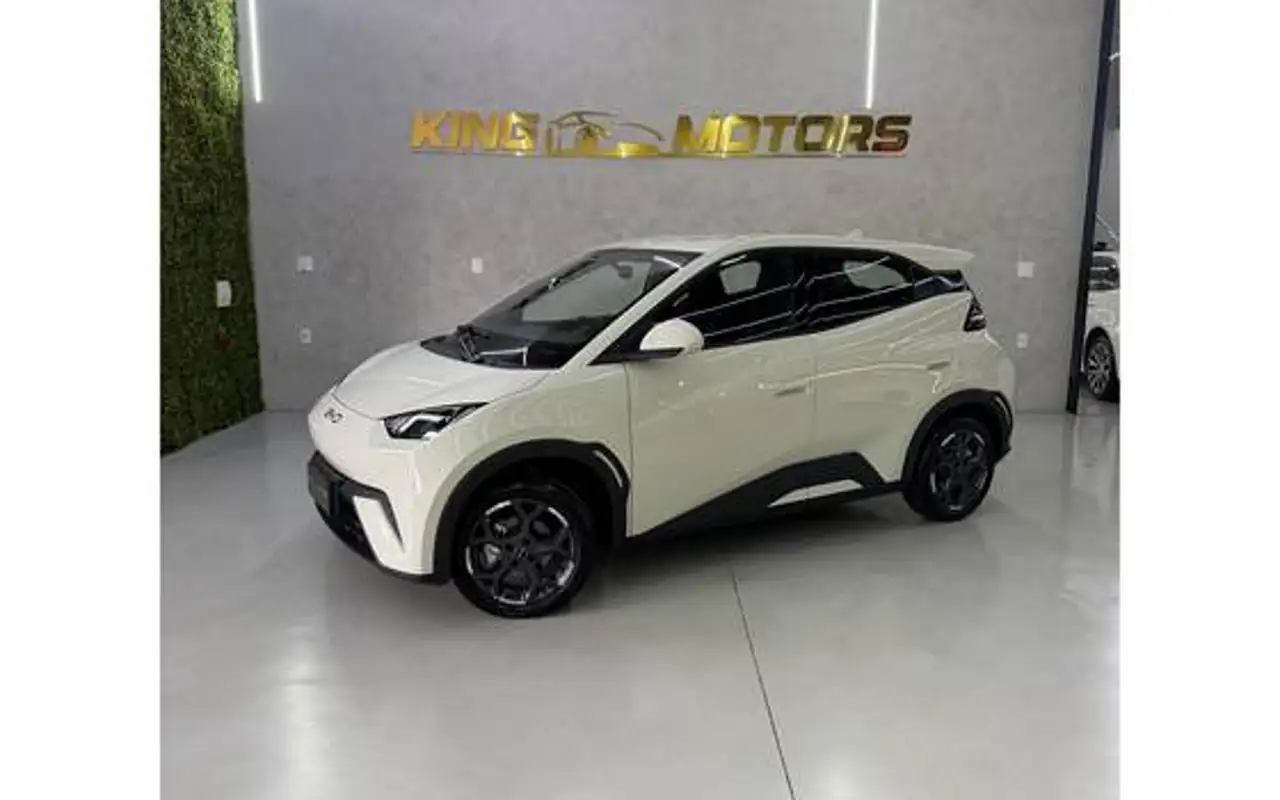 BYD DOLPHIN MINI 38 KW ELÉTRICO GL — foto 1 de 12