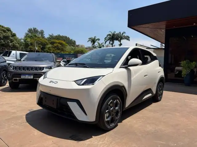BYD DOLPHIN MINI 38 KW ELÉTRICO GS em Ribeirão Preto, SP