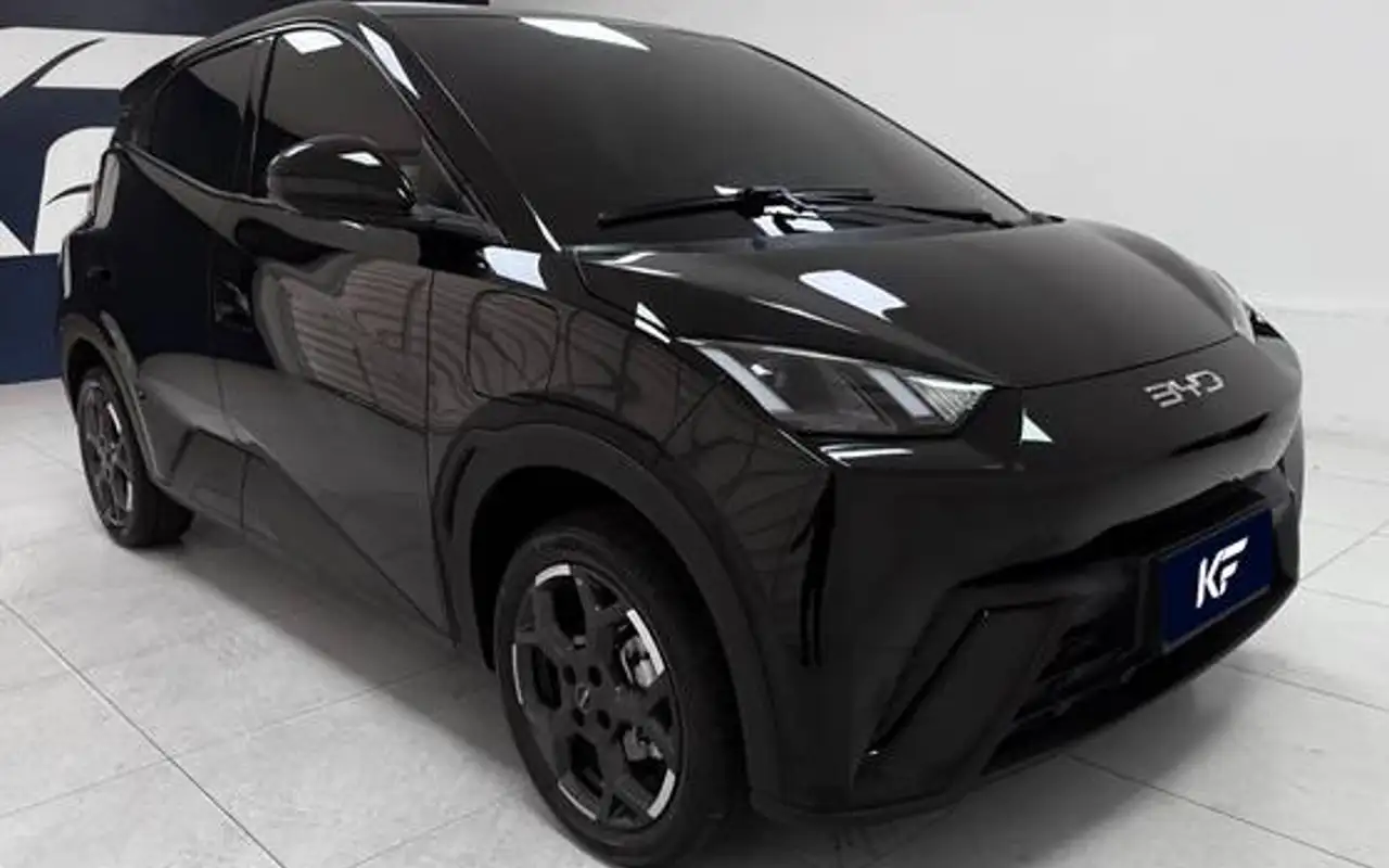 BYD DOLPHIN MINI 38 KW ELÉTRICO GL — foto 1 de 10