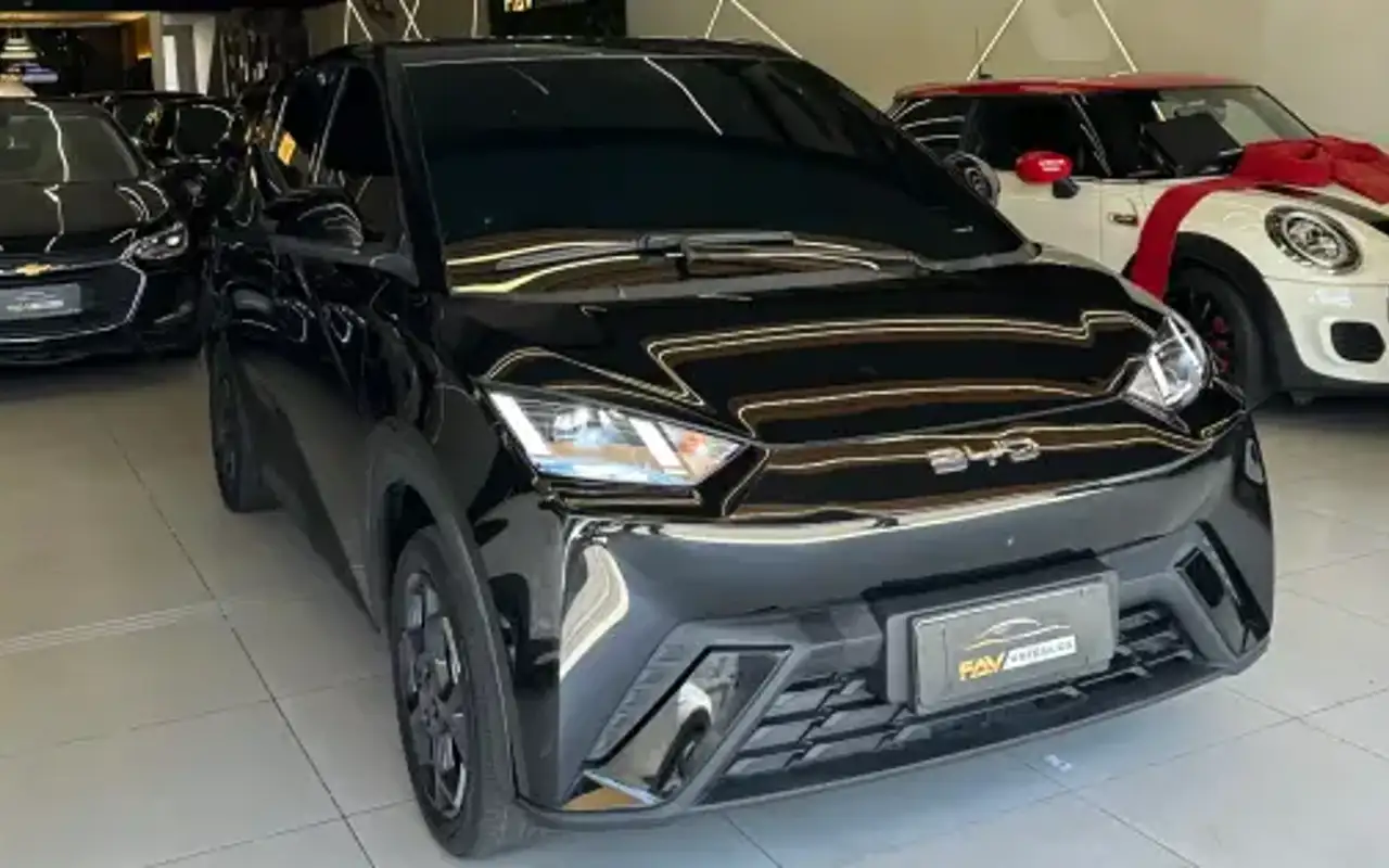 BYD DOLPHIN MINI 38 KW ELÉTRICO GS — foto 1 de 14