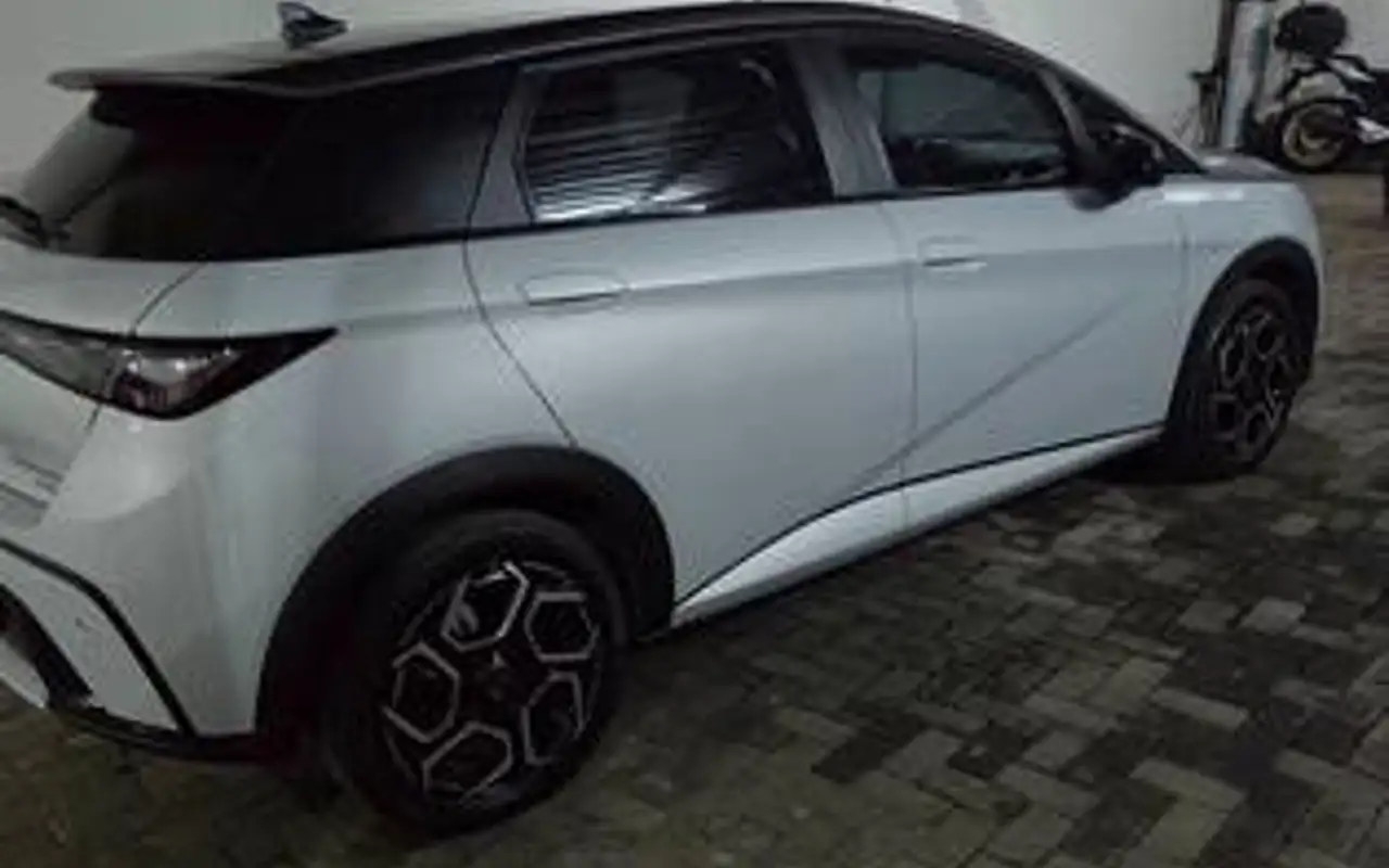 BYD DOLPHIN 60,5 KW ELÉTRICO PLUS — foto 1 de 8