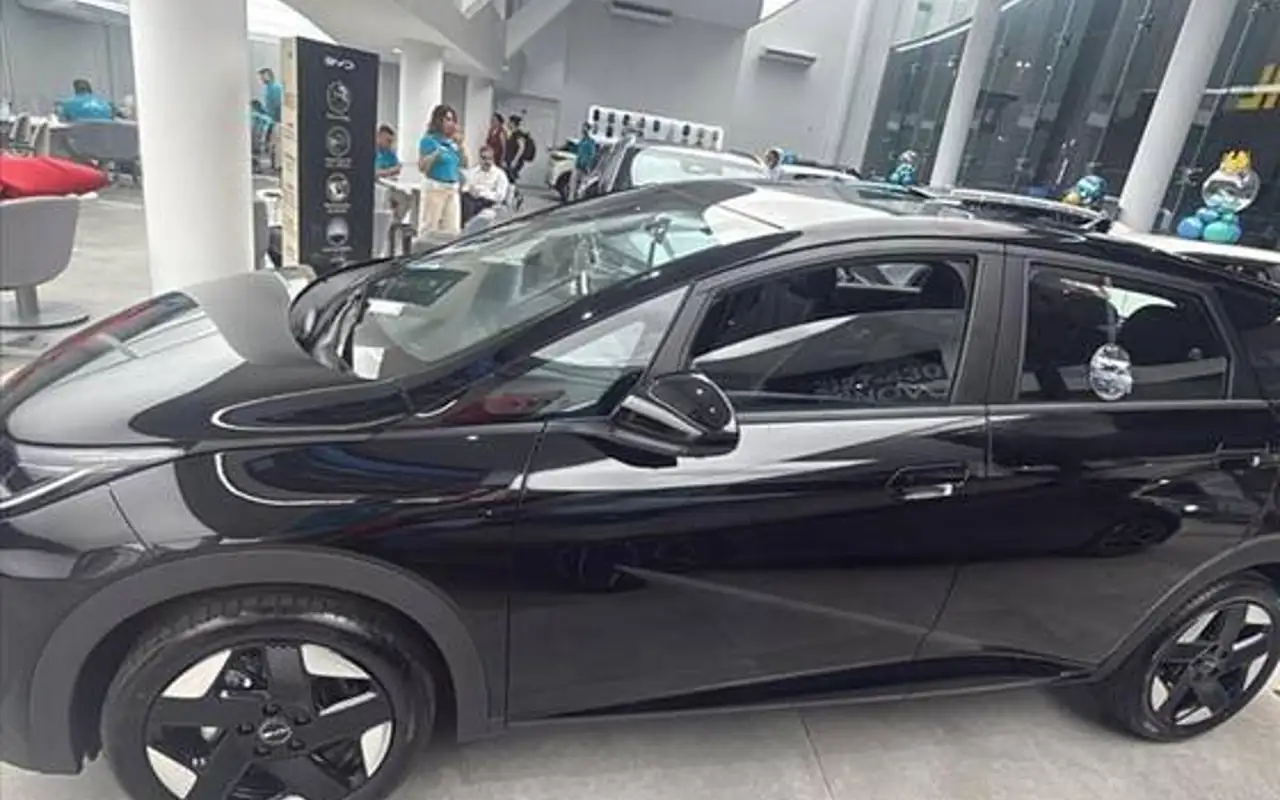 BYD DOLPHIN 45,1 KW ELÉTRICO SE — foto 1 de 8
