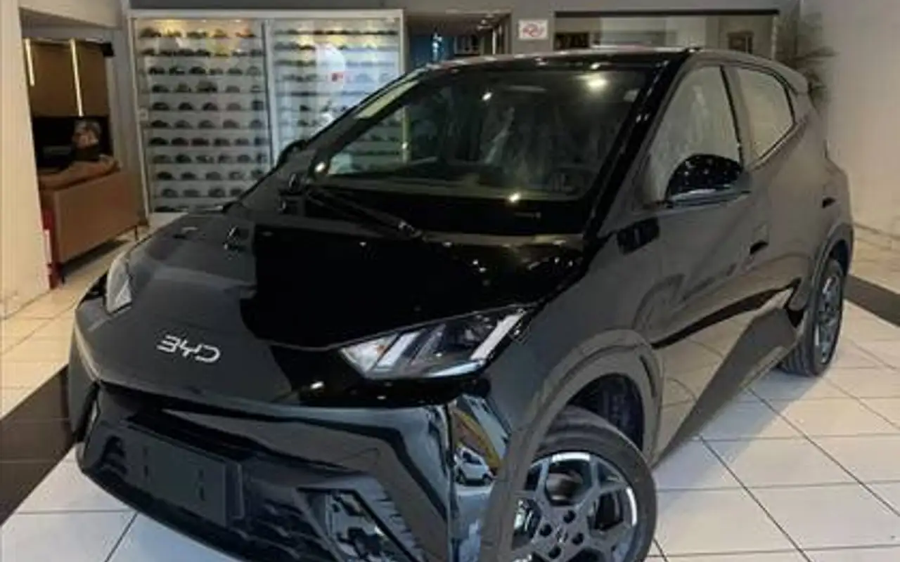 BYD DOLPHIN MINI 38 KW ELÉTRICO GL — foto 1 de 18