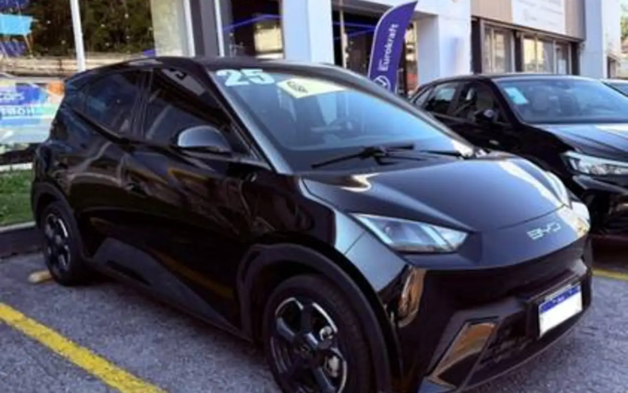 BYD DOLPHIN MINI 38 KW ELÉTRICO — foto 1 de 10