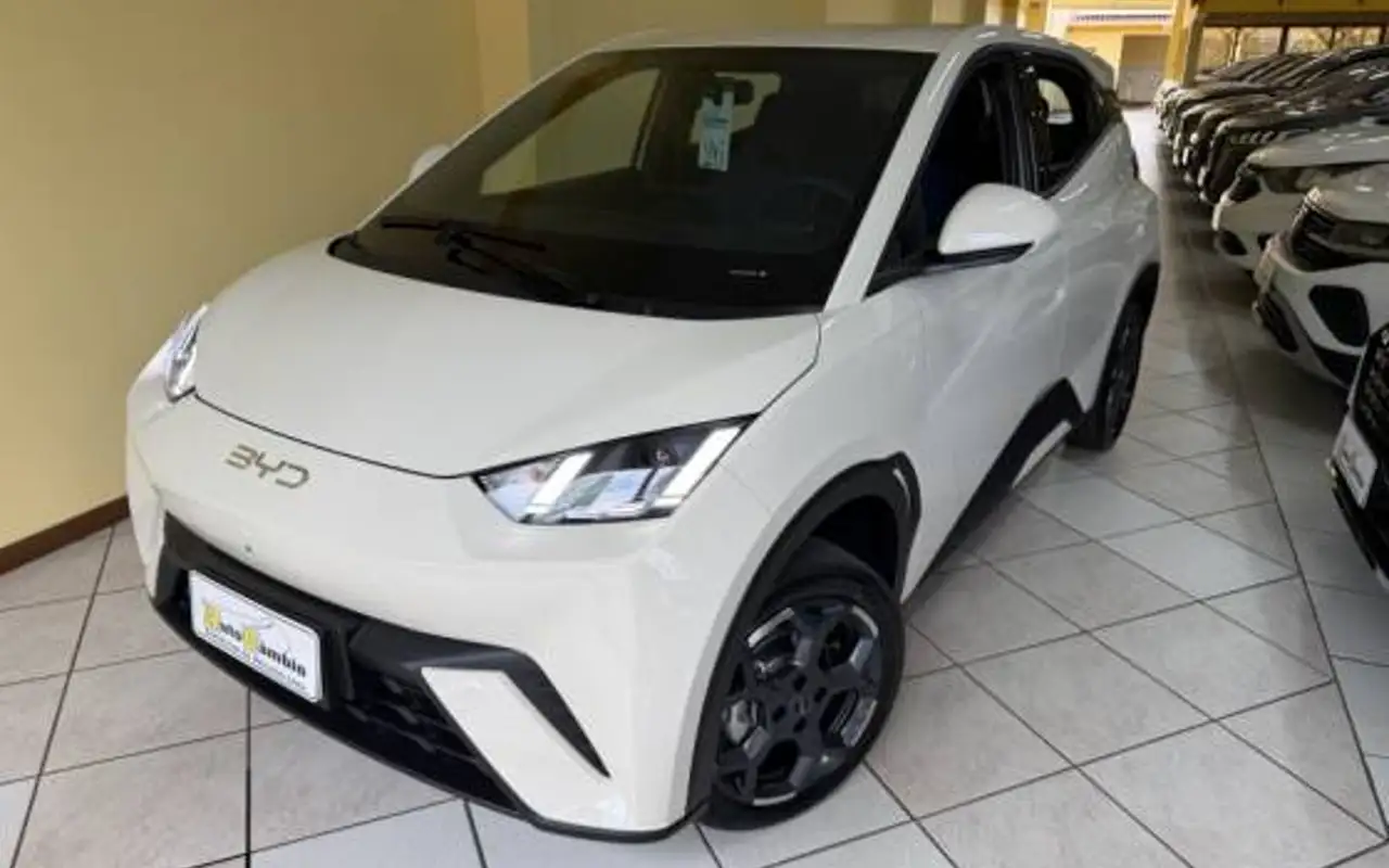 BYD DOLPHIN MINI 38 KW ELÉTRICO GS — foto 1 de 20