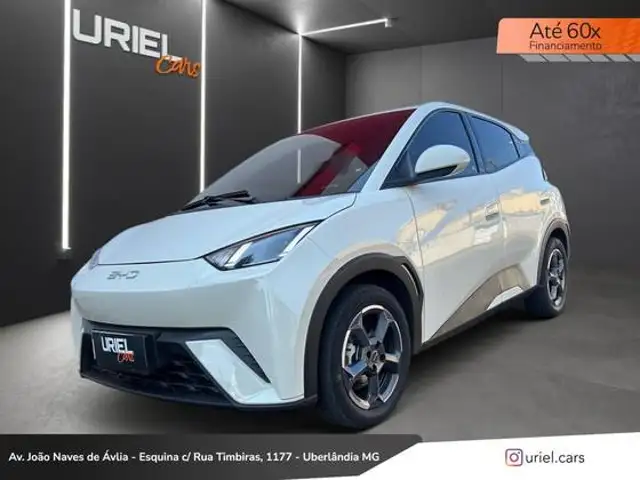 BYD DOLPHIN MINI 38 KW ELÉTRICO 5L em Uberlândia, MG