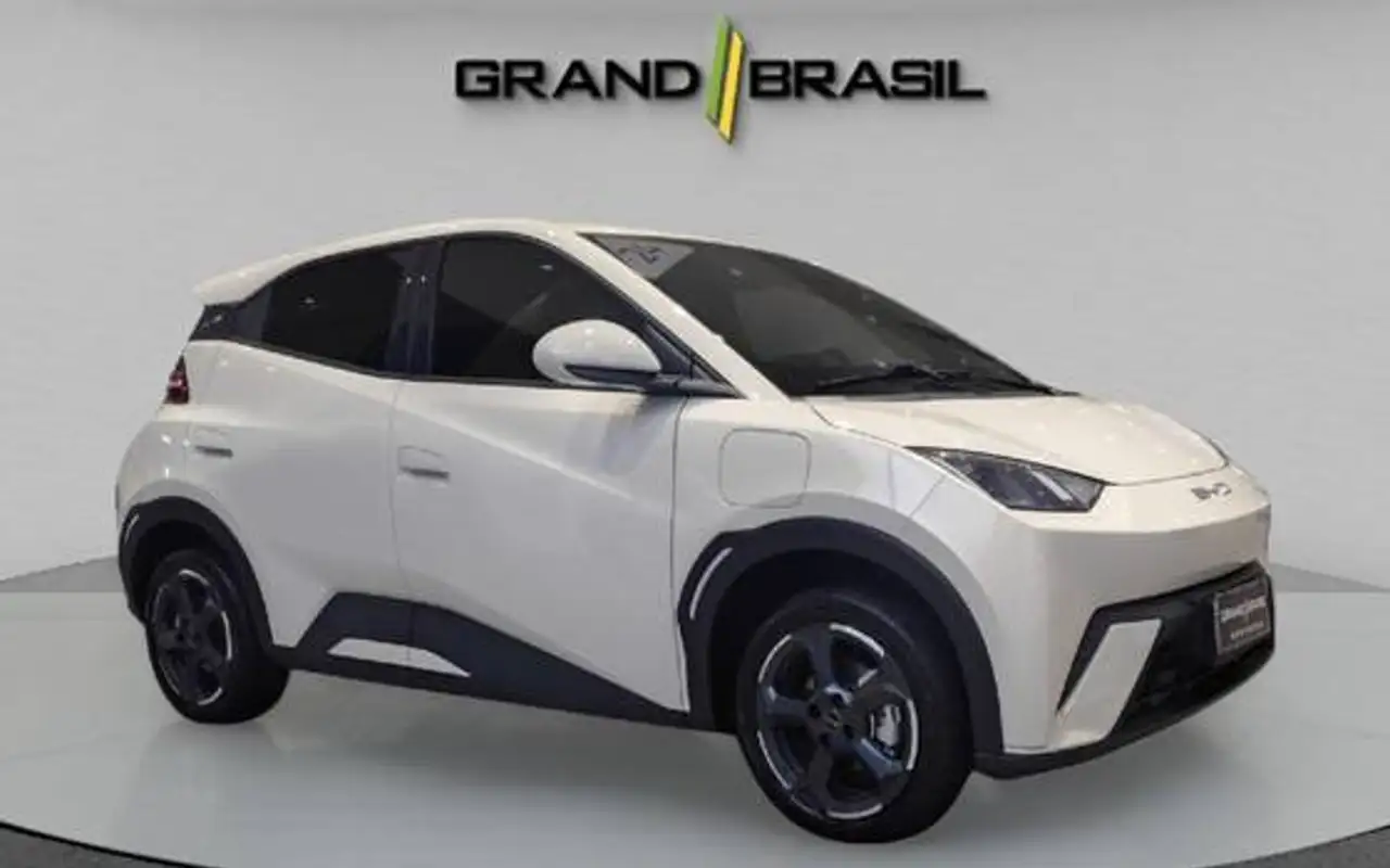 BYD DOLPHIN MINI 38 KW ELÉTRICO — foto 1 de 11