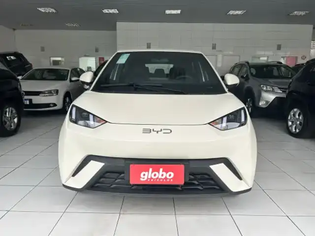 BYD DOLPHIN MINI 38 KW ELÉTRICO GL em Recife, PE