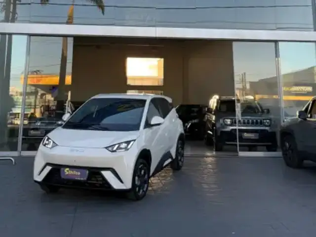 BYD DOLPHIN MINI 38 KW ELÉTRICO GS em Americana, SP