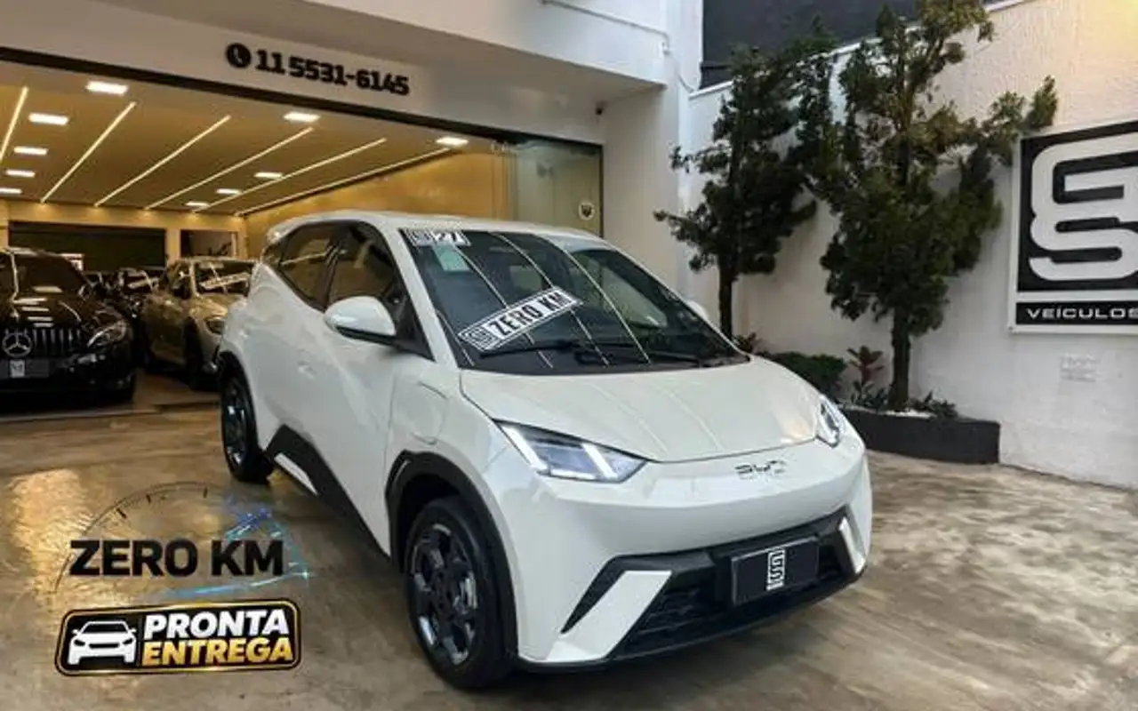 BYD DOLPHIN MINI 38 KW ELÉTRICO GL — foto 1 de 15