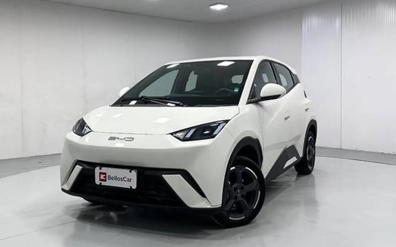 BYD DOLPHIN 44,9 KW ELÉTRICO GS — foto 1 de 16