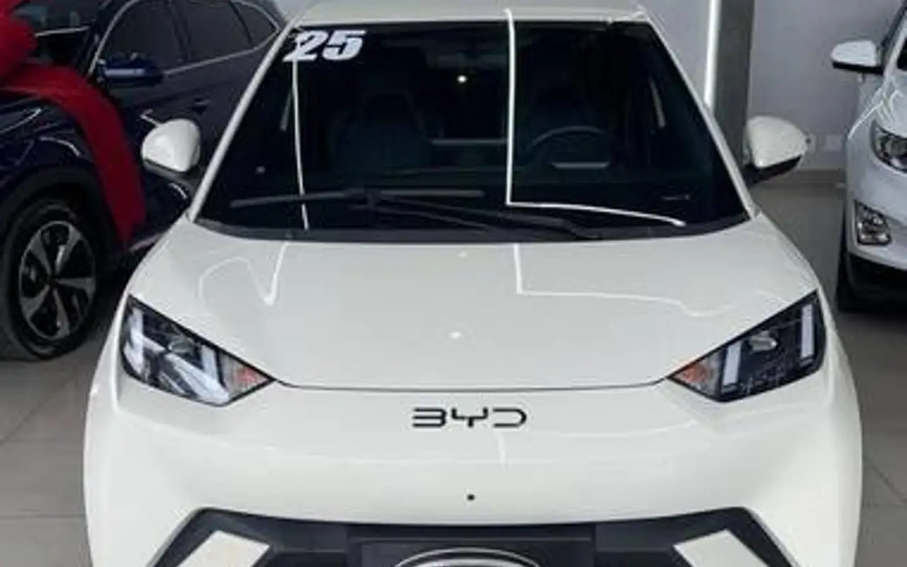 BYD DOLPHIN MINI 38 KW ELÉTRICO 5L — foto 1 de 12
