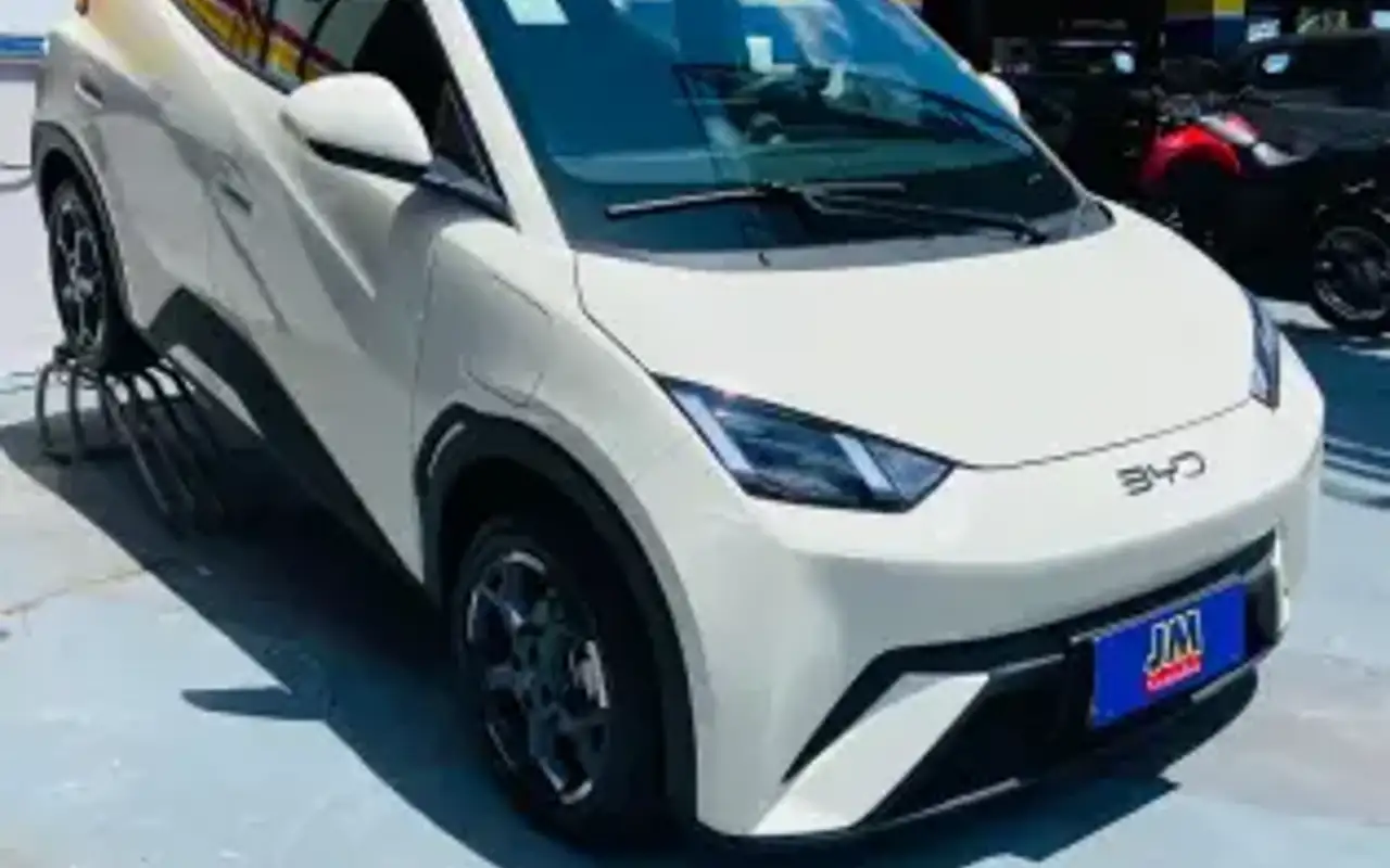 BYD DOLPHIN MINI 38 KW ELÉTRICO GL — foto 1 de 9
