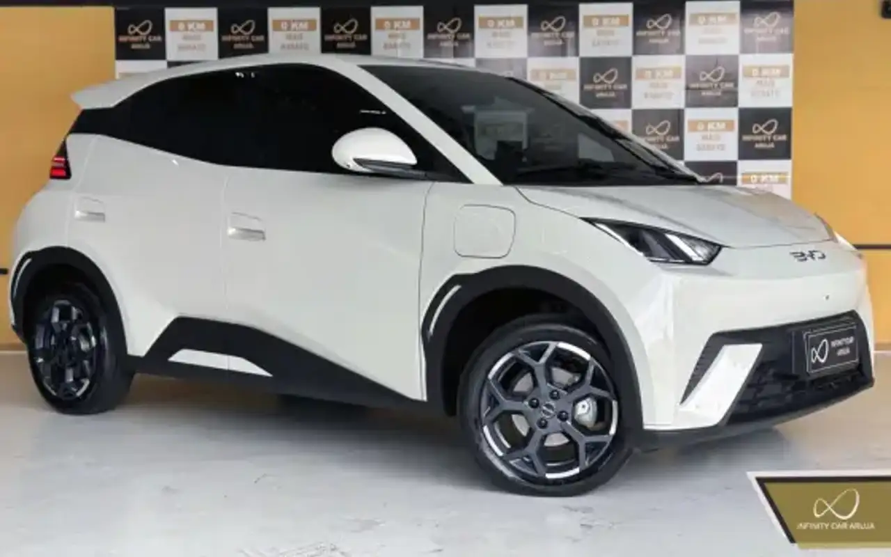 BYD DOLPHIN MINI 38 KW ELÉTRICO GS — foto 1 de 14