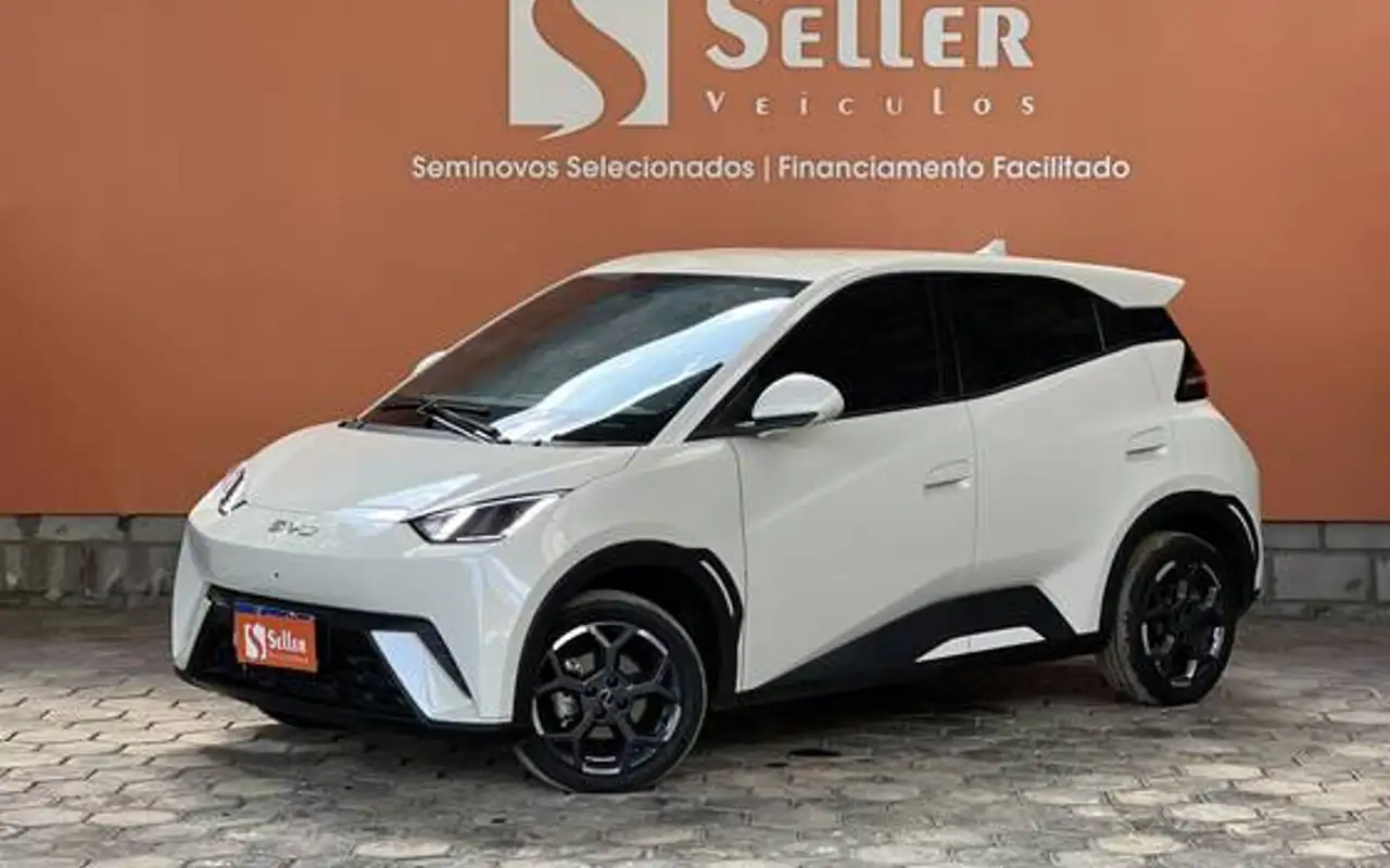 BYD DOLPHIN MINI 38 KW ELÉTRICO GS — foto 1 de 20
