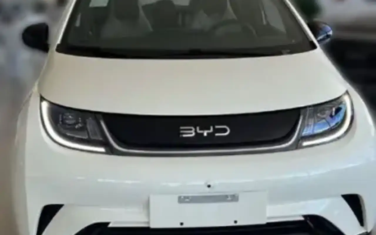 BYD DOLPHIN 44,9 KW ELÉTRICO GS — foto 1 de 7