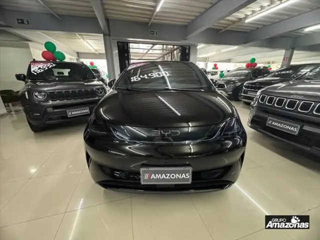 BYD DOLPHIN 45,1 KW ELÉTRICO SE em São Paulo, SP