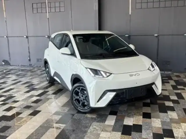 BYD DOLPHIN MINI 38 KW ELÉTRICO GS em Araxá, MG