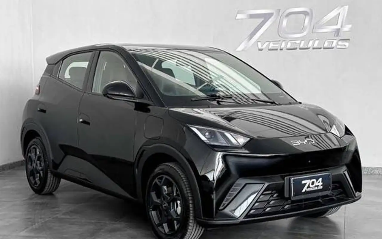 BYD DOLPHIN 44,9 KW ELÉTRICO GS — foto 1 de 20