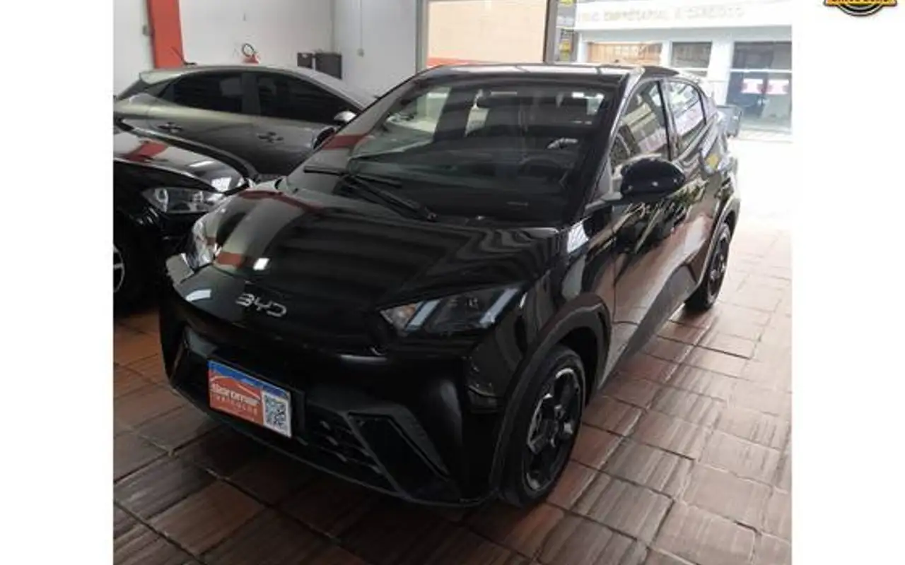 BYD DOLPHIN MINI 38 KW ELÉTRICO 5L — foto 1 de 12