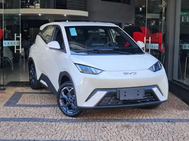 BYD DOLPHIN MINI 38 KW ELÉTRICO GL em Leme, SP