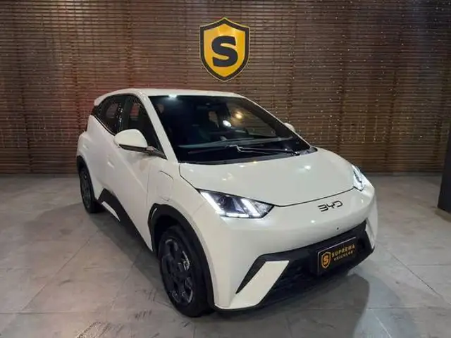 BYD DOLPHIN MINI 38 KW ELÉTRICO GS em Petrópolis, RJ