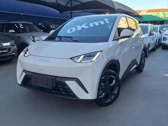 BYD DOLPHIN MINI 38 KW ELÉTRICO GS em Goiânia, GO